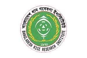 MediainBox_client_air_bangladesh_dhan_gobeshona_institute.webp.